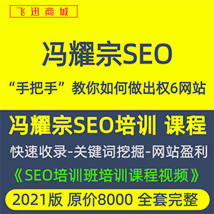 冯耀宗2021《SEO培训班培训课程视频》如何做网站SEO优化方案教程网站全自动发货