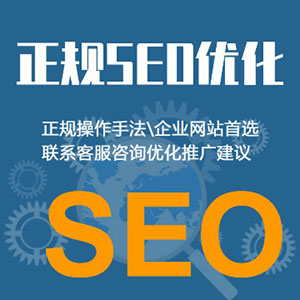 网站SEO优化服务（正规SEO优化，杜绝黑帽SEO）