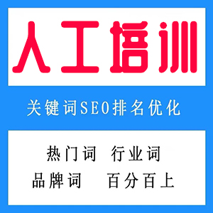 SEO服务培训6000元3天：包括网站部署，网站优化，服务器维护，域名解析。